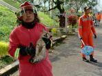 kucing-liar-pln-upt-semarang.jpg