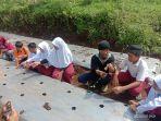 Siswa SDN Sugihan 03 Belajar Wirausaha Sejak Dini Lewat Tanam Cabai, Isi Kegiatan P5