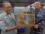 Personel Lanal Semarang Gagalkan Penyelundupan Puluhan Burung Dilindungi dari Kumai Kalteng
