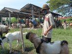 pasar-hewan-demak-tetap-buka-kambing.jpg