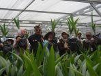 Ada Nursery Perkebunan Kelapa di Batang, Mentan: Indonesia sebagai Negara Nyiur Melambai