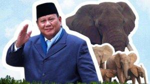Prabowo-Hibahkan-Lahan-di-Aceh.jpg