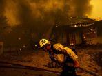 10.400 Hektare Hutan Terbakar, Ratusan Warga Ventura County Terpaksa Mengungsi