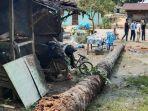 Pohon-Sawit-Tumbang.jpg
