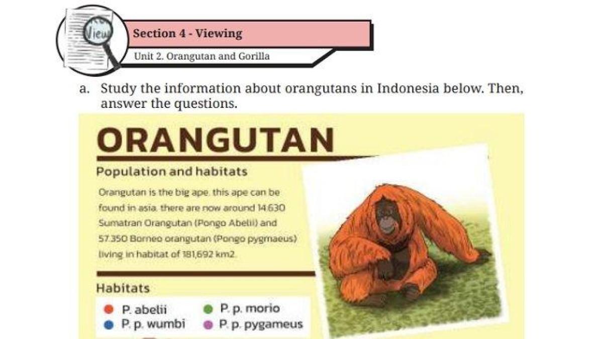 Kunci Jawaban Bahasa Inggris Kelas 9 Halaman 53 Kurikulum Merdeka, Orangutan and Gorilla