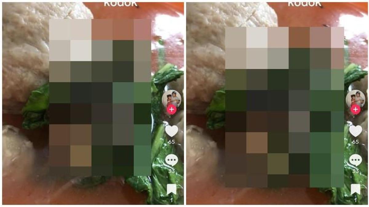 BAKSO KODOK PALEMBANG - Seorang remaja putri mengaku menemukan seekor kodok di dalam bungkusan bakso yang dipesannya secara online dari sebuah toko bakso di kawasan Seberang Ulu Palembang.