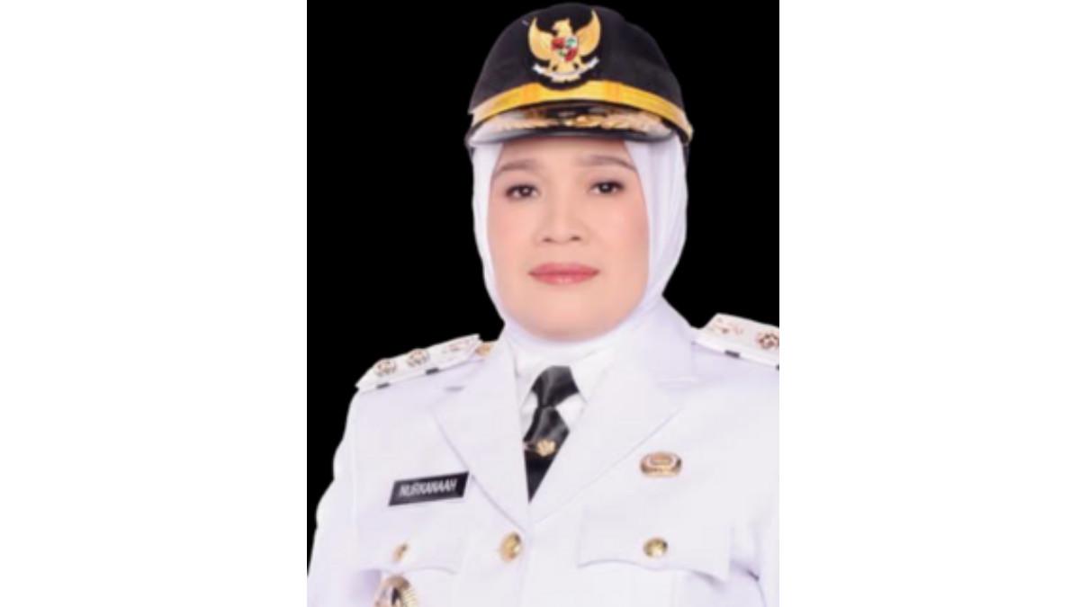 PROFIL KEPALA DAERAH - Berikut sosok dan profil Nur Kana'ah, Wakil Bupati Sidrap yang dilantik Prabowo Subianto. 