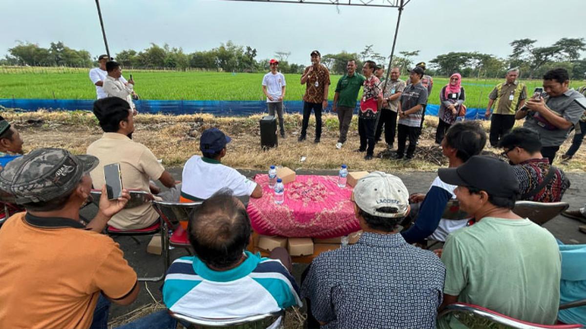 PERTANIAN DI KLATEN - Bupati Klaten Hamenang Wajar Ismoyo berdialog dengan sejumlah petani, Desa Jurangjero, Kecamatan Karanganom, Kamis (19/9/2025) yang mengeluhkan hama tikus.