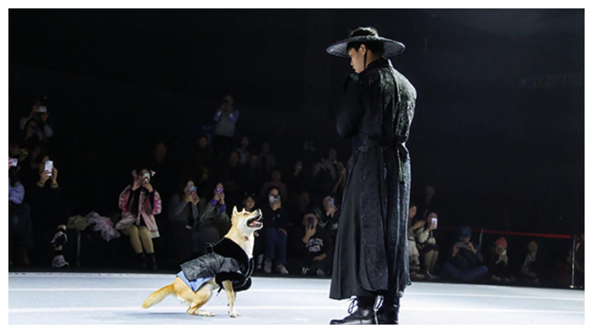 Berjalan di atas catwalk dan diterangi lampu sorot, Da Huang, seekor anjing yang dikenal karena perannya dalam drama TV Mysterious Lotus Casebook, mengenakan mantel bulu hitam bergaya kuno sementara pemiliknya mengenakan jubah gelap yang serasi dengan motif yang saling melengkapi di Shanghai Petjoy Fashion Week ke-5
