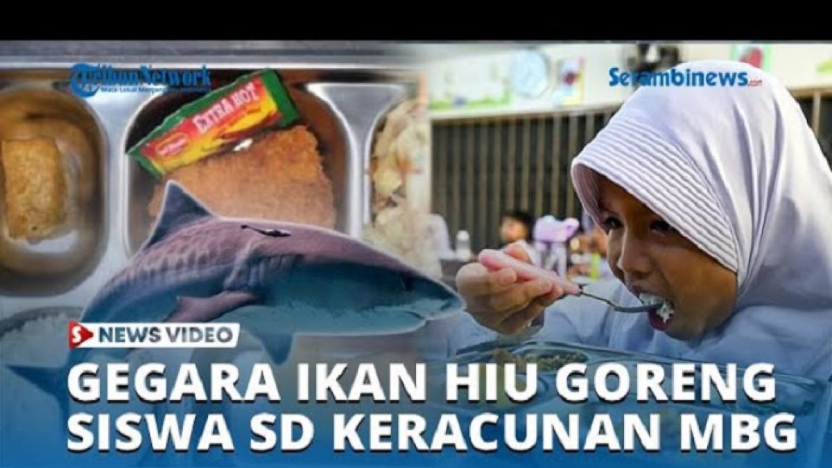 KASUS KERACUNAN MBG - Capture YouTube Serambi News menampilkan ilustrasi keracunan MBG. Diduga menu ikan hiu goreng jadi pemicu keracunan