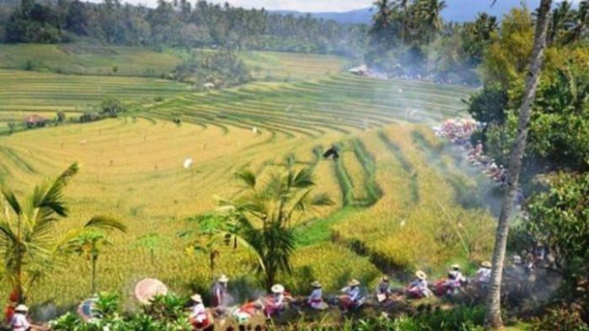 SOAL 4 TKA ANTROPOLOGI - Foto ini diambil dari laman https://pusmendik.kemdikbud.go.id/tka/simulasi_tka pada Rabu (29/10/2025). Gambar No 3 TKA Antropologi Kelas 12 SMA