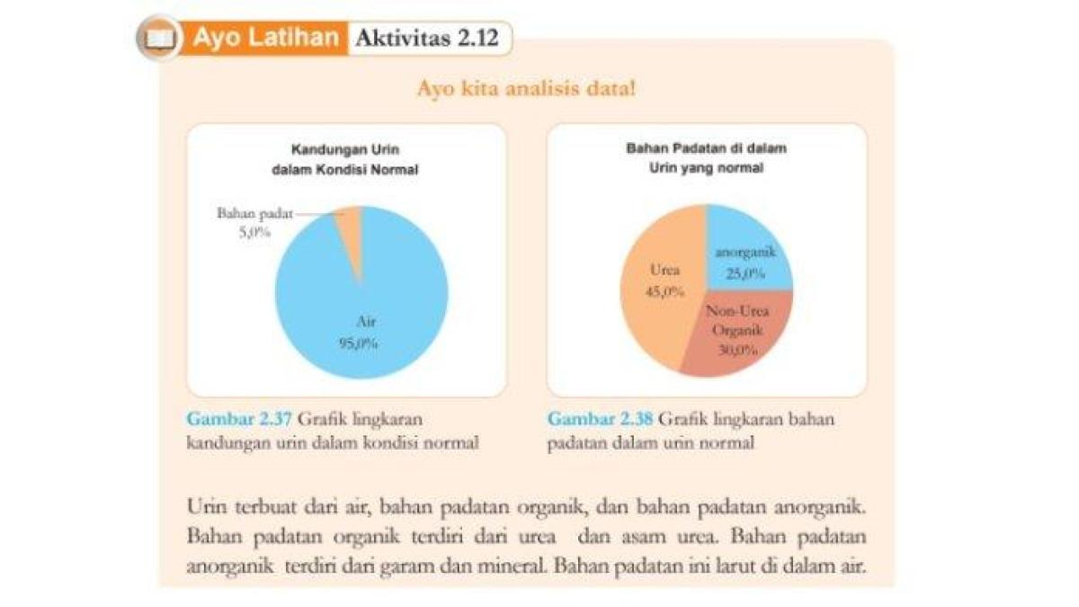 Kunci jawaban IPA kelas 8 halaman 77 Kurikulum Merdeka. Siswa diminta untuk menganalisis kandungan urin pada tugas Aktivitas 2.12.