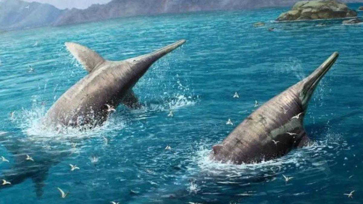 Heboh! Fosil Reptil Purba Ditemukan di Pantai Inggris, Ukurannya Mengejutkan: Sebesar 2 Bus Berderet