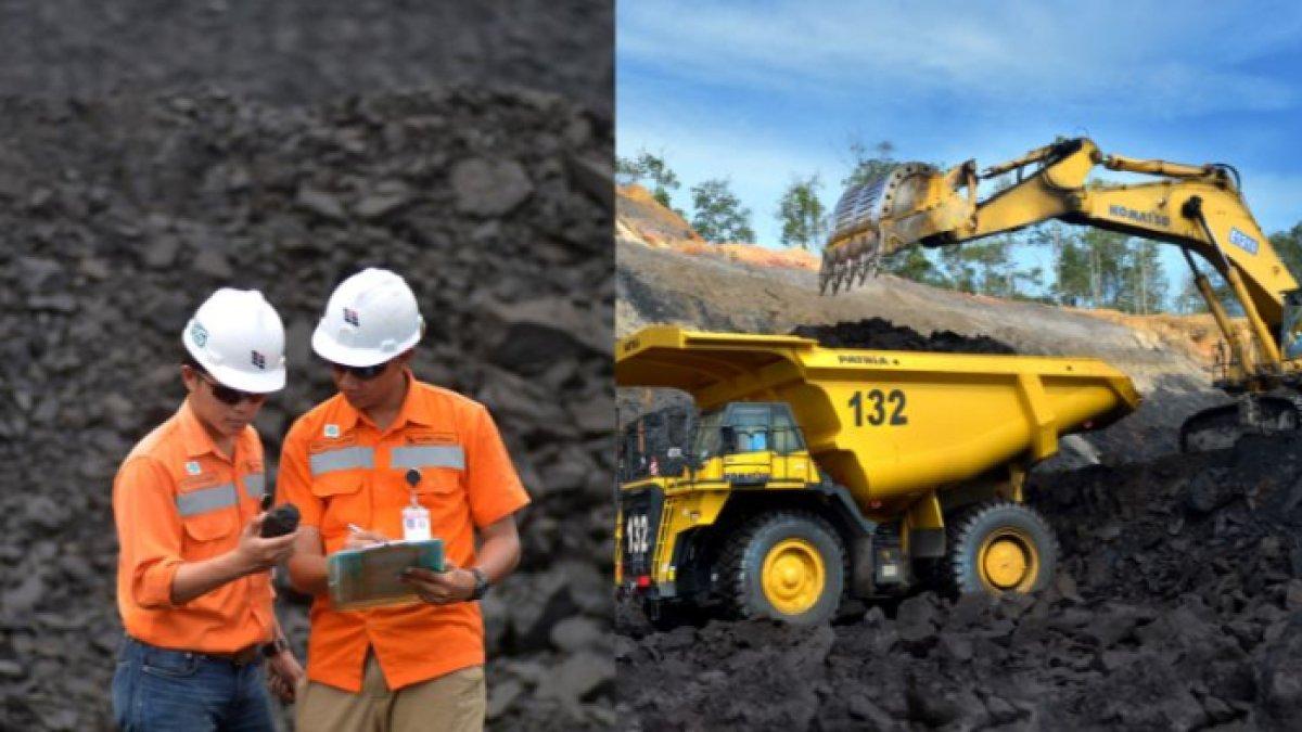 Kabar Gembira Warga Jakarta, Sinar Mas Mining Buka Lowongan Kerja 2024, Lulusan S1 Banyak Kesempatan