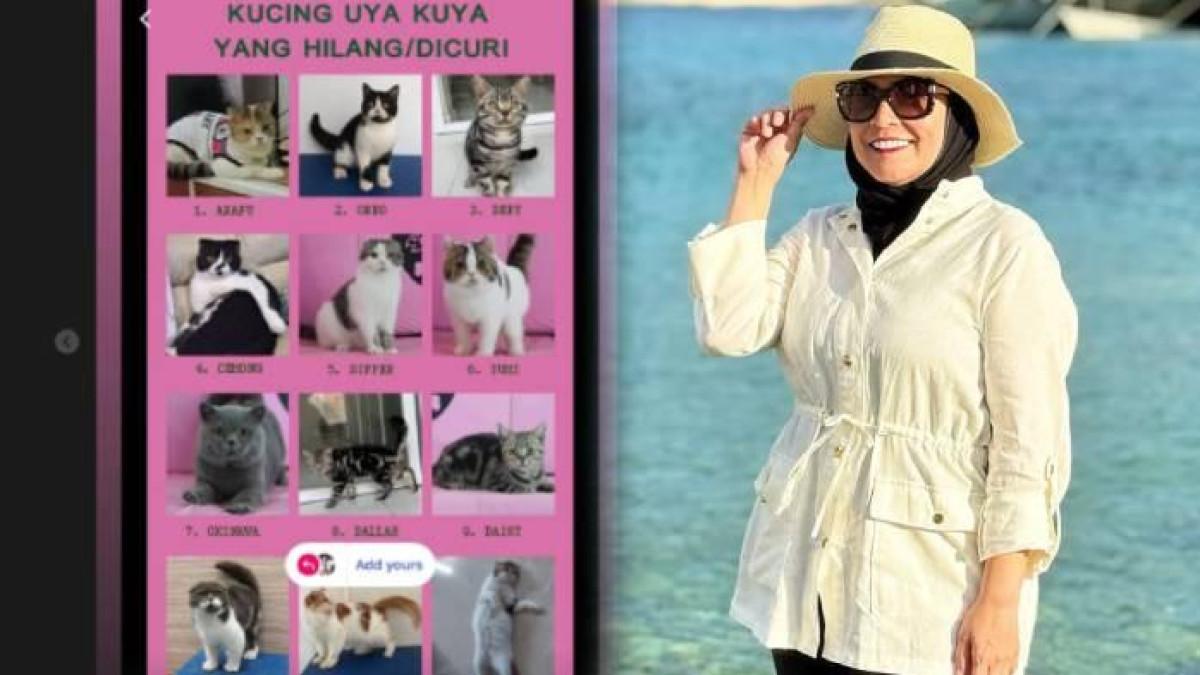 RUMAH UYA KUYA DIJARAH - Istri Uya Kuya Sibuk Posting Ulang Kebaikan Suami Sebelum Jadi DPR, Disentil Soal Kuncing Terlantar