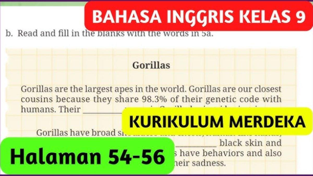 Jawaban Bahasa Inggris Kelas 9 Halaman 54 56 Kurikulum Medeka Section