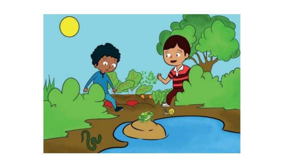 Ian dan Aga menemukan makhluk hidup saat berkunjung ke kebun sayur.