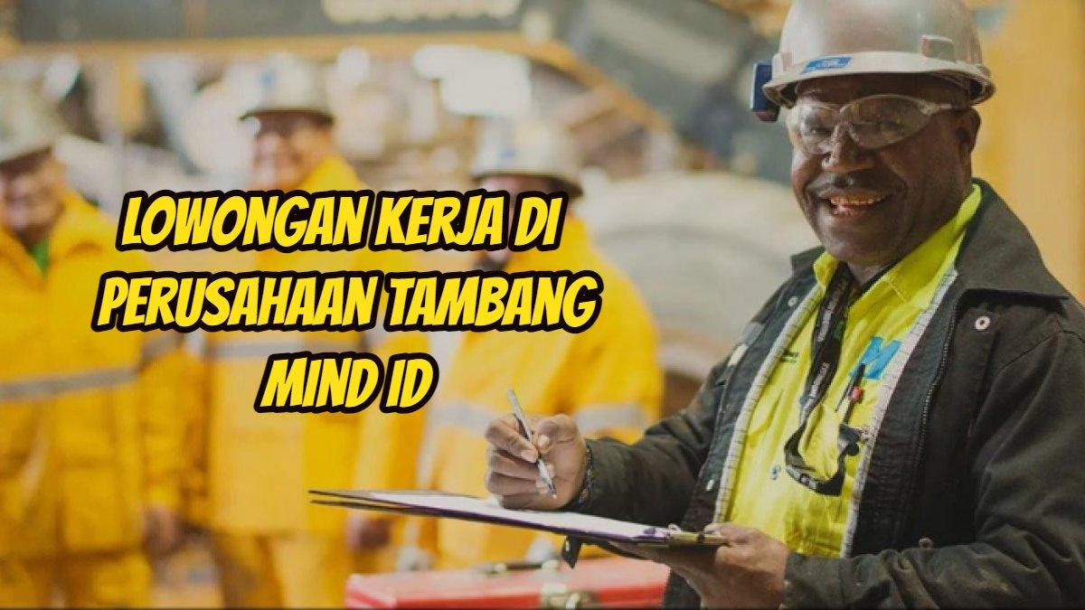 IPK Hanya 3,0 Diterima, MIND ID Buka Lowongan Kerja BUMN 2024 Terbaru, Dicari Minimal Lulusan D4