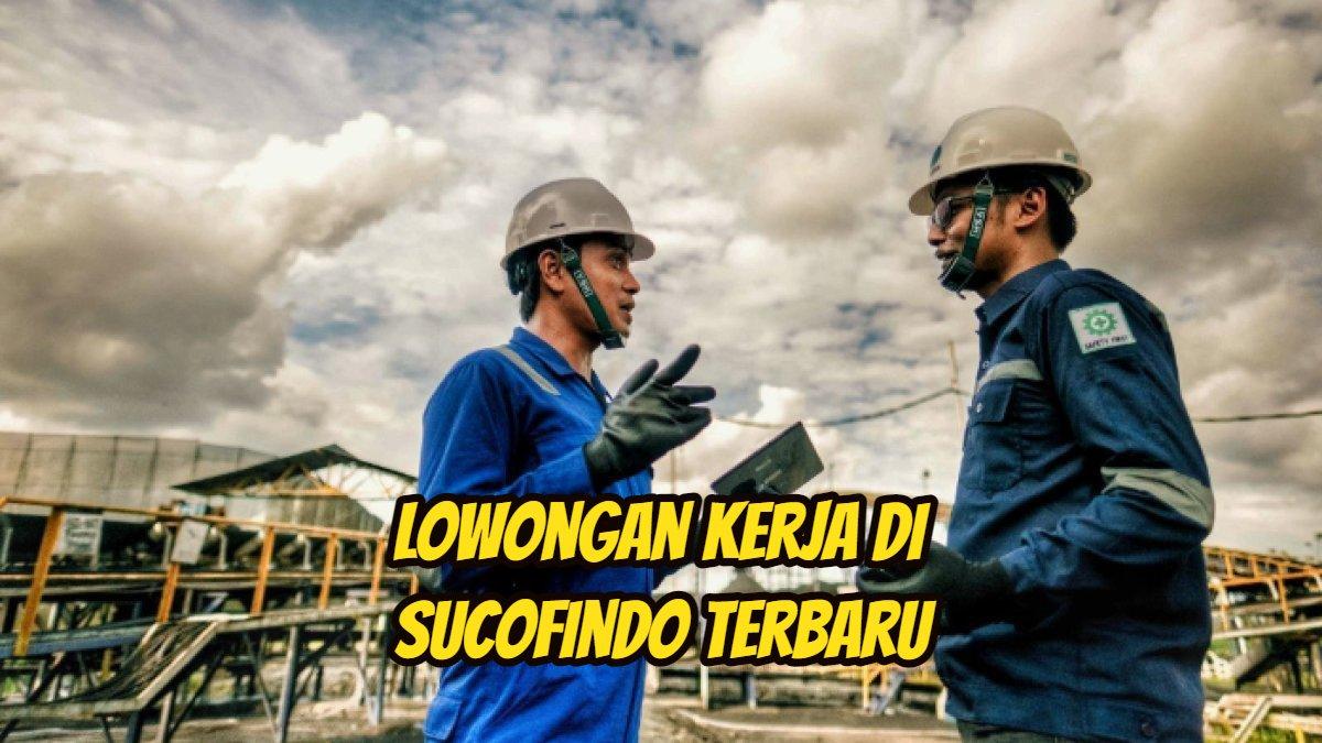 Kesempatan Emas BUMN Sucofindo Buka Lowongan Kerja 2024 Penempatan Jakarta, Dicari Lulusan S1