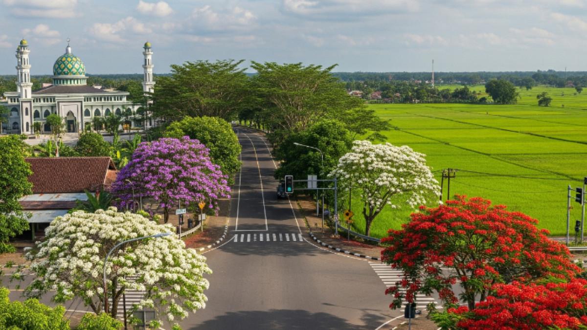 Bukittinggi rangking 2 kota termaju di Provinsi Sumatera Barat versi IDSD 2024 (ilustrasi)
