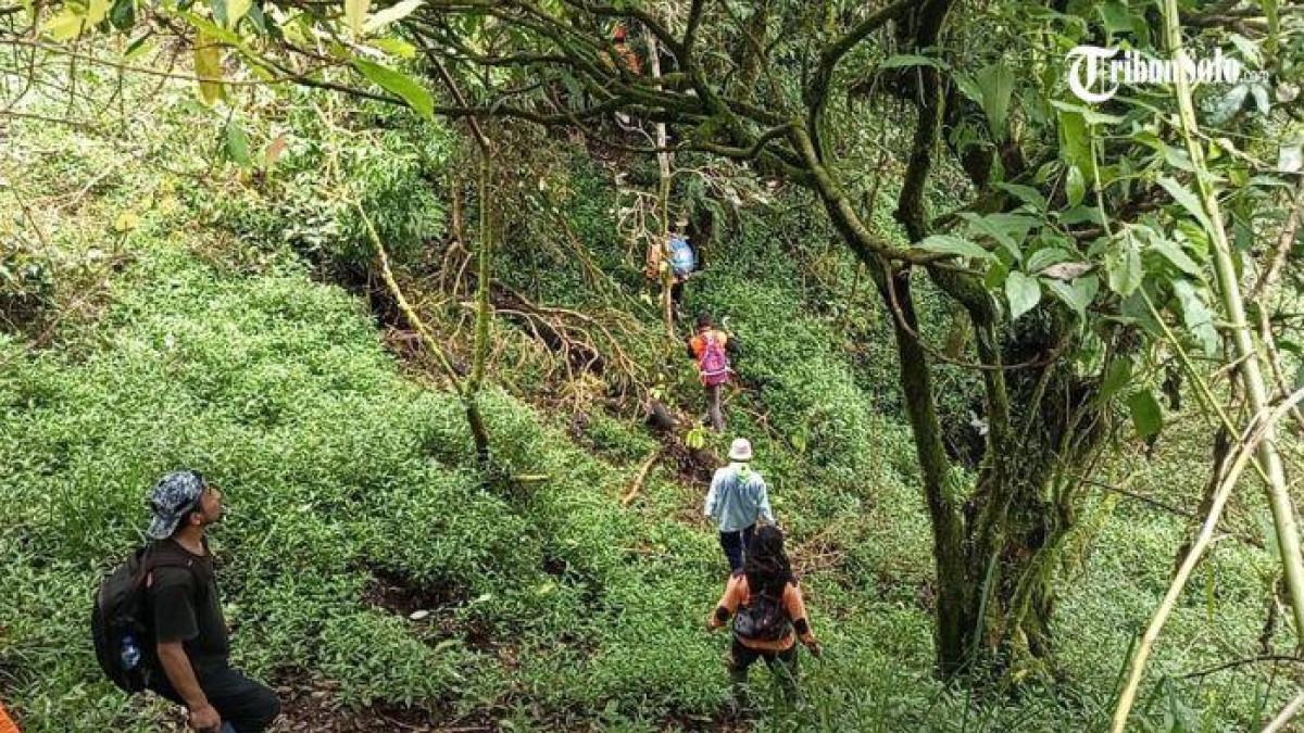 NIHIL - Operasi pencarian SAR (Opsar) suvirvor Yazid Ahmad Firdaus (26), pemuda asal Desa Gawanan, Kecamatan Colomadu, Kabupaten Karanganyar yang hilang di Bukit Mongkrang, Kecamatan Tawangmangu, Kabupaten Karanganyar, ke-12 Jum'at (30/1/2026). Pencarian kembali berakhir nihil.
