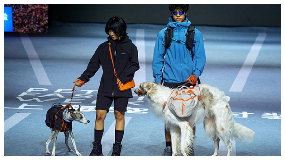 Shanghai Petjoy Fashion Week ke-5 menyoroti integrasi estetika Tiongkok ke dalam pakaian hewan peliharaan dan munculnya gaya luar ruangan sebagai tren baru, yang mencerminkan peningkatan gaya hidup.