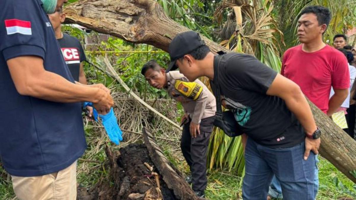 KERANGKA DI POHON AREN - Polisi dan warga saat melihat tumpukan kerangka di pohon aren yang mati di Kecamatan Sei Rampah, Kabupaten Serdang Bedagai (Sergai), Sumatera Utara, Selasa (9/9/2025)Dok Polres Sergai