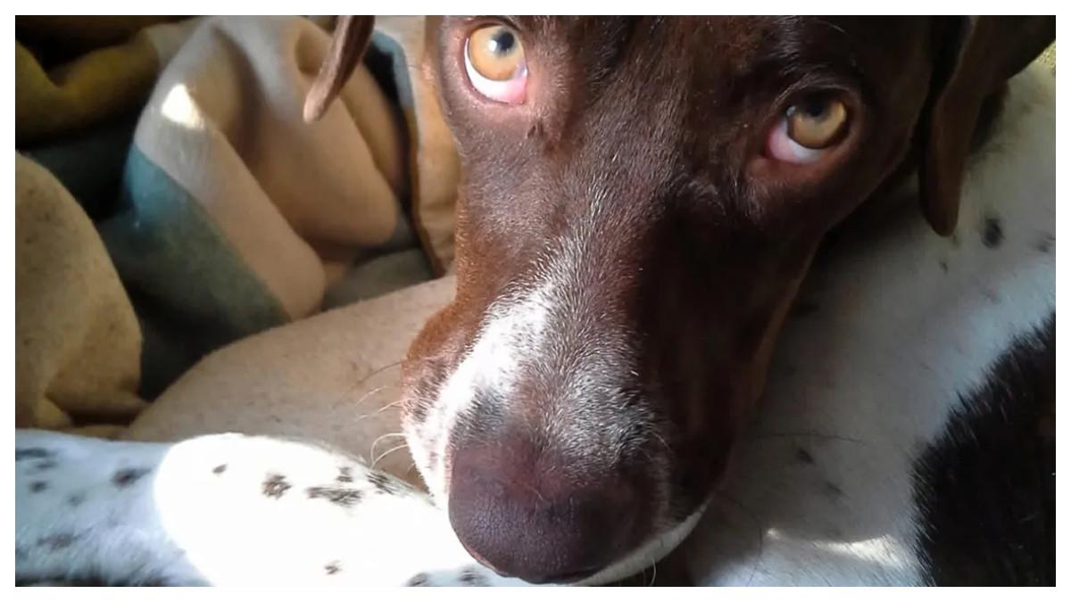 Sadie.