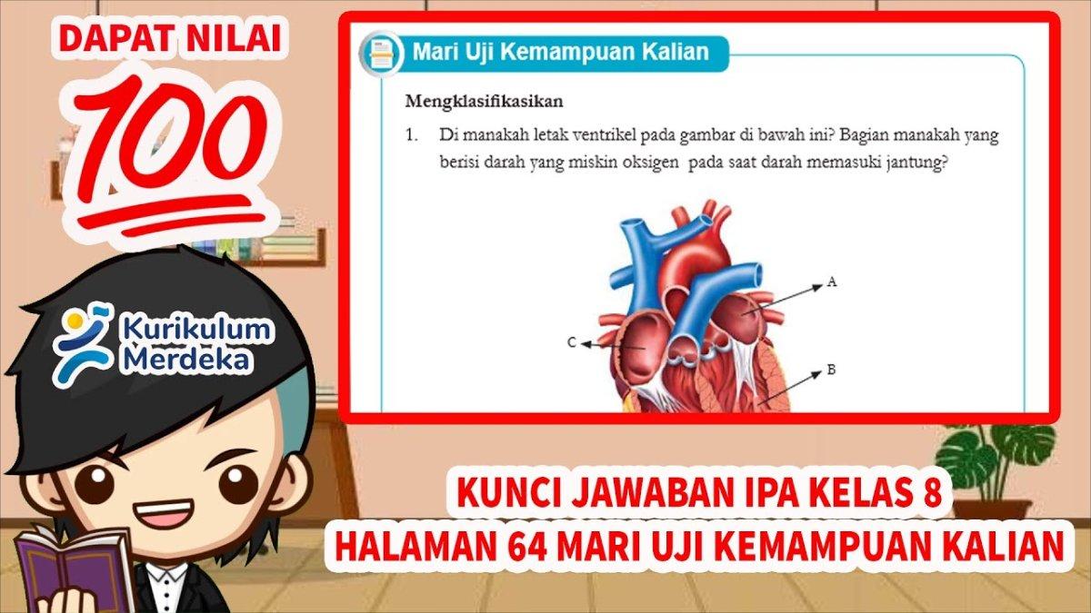 Soal & Kunci Jawaban IPA Kelas 8 SMP Halaman 64 Kurikulum Merdeka, Kesehatan Sistem Peredaran Darah