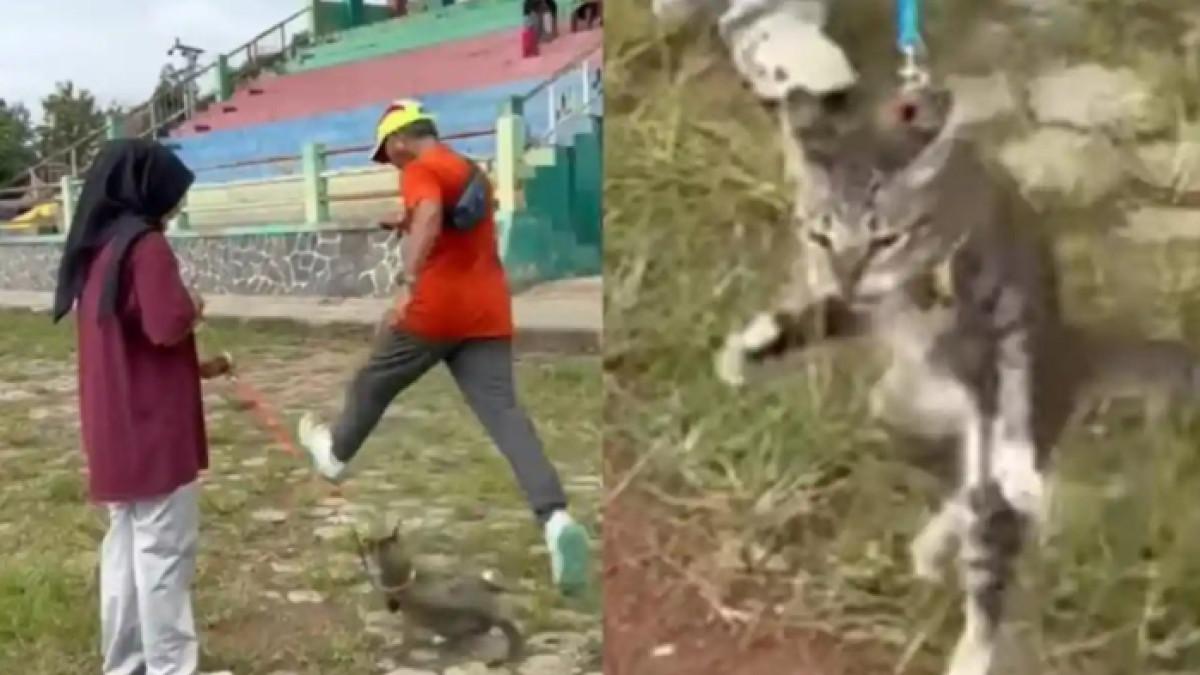 PRIA TENDANG KUCING - Viral pria tendang kucing hingga hewan tersebut berakhir mati di Blora, polisi turun tangan, pelaku terancam hukuman penjara.