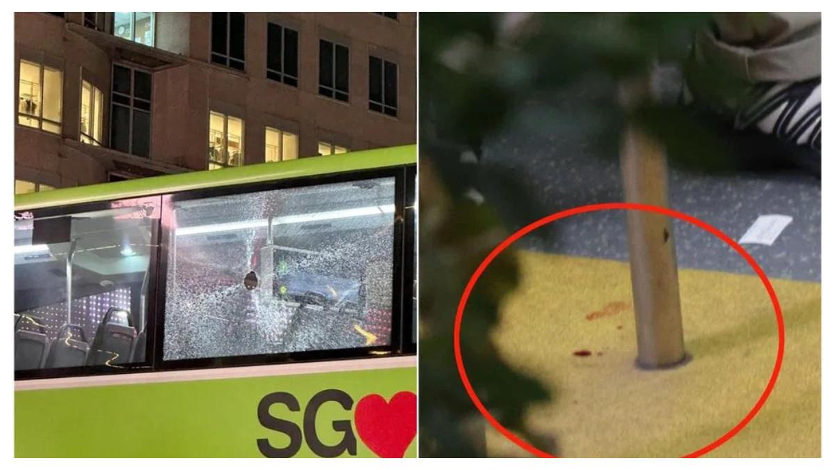 Tindakan yang diduga dilakukan Quztaza Kamarudin di Orchard Road pada 5 Juli menyebabkan lubang di jendela bus SMRT layanan 190 dan melukai seorang penumpang