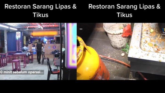 Buat Syok, Restoran Ini Luarnya Bagus, Bagian Dapur Jorok, Tikus Mondar-mandir, Kecoa Beterbangan