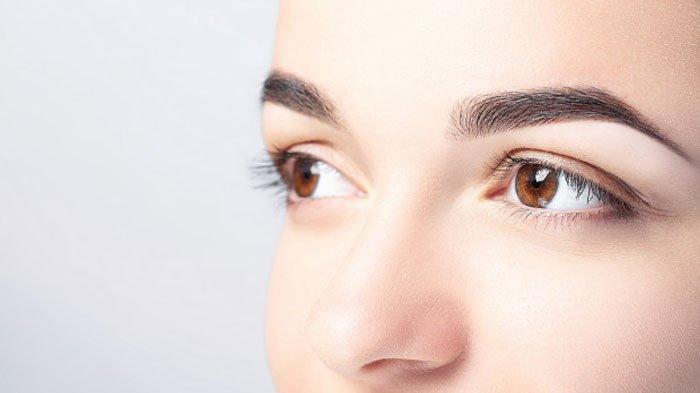 SOAL & KUNCI JAWABAN Pelajaran IPAS Kelas 5 Kurikulum Merdeka Hal 16, Cahaya & Proses Melihat