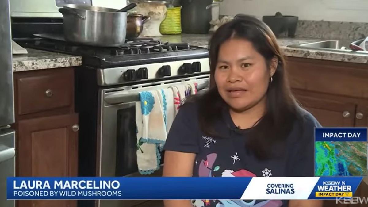 Pasangan Ini Angkat Bicara Setelah Tak Sengaja Memakan Jamur Liar Saat Mendaki: 'Kami Tidak Mengira Itu Beracun'.