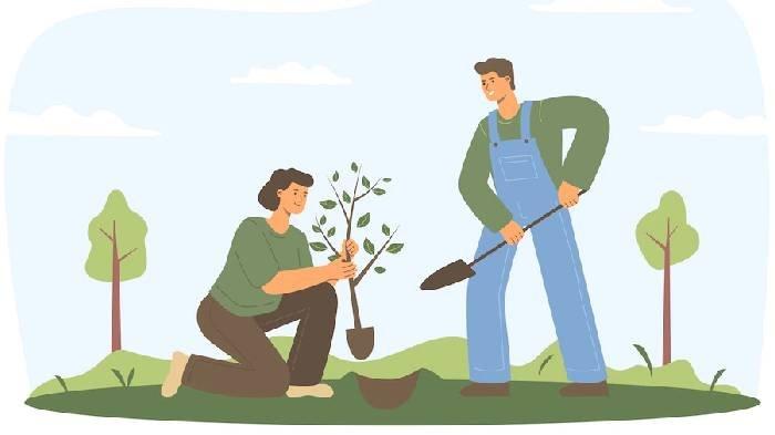 SOAL & KUNCI JAWABAN Tema 2 Kelas 5 Hal 24, Jawab Pertanyaan dari Bacaan 'Hari Menanam Pohon'