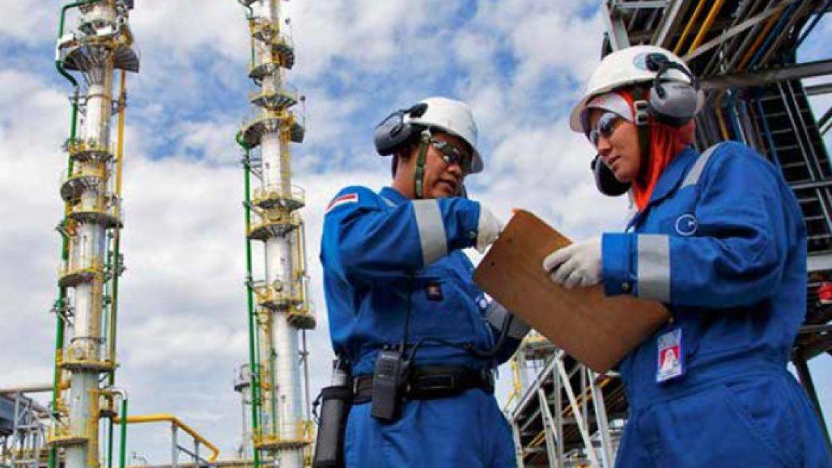 Medco E&P Buka Lowongan Kerja Tambang 2024, Lulusan S1 Fresh Graduate Boleh Melamar Bagian Penting