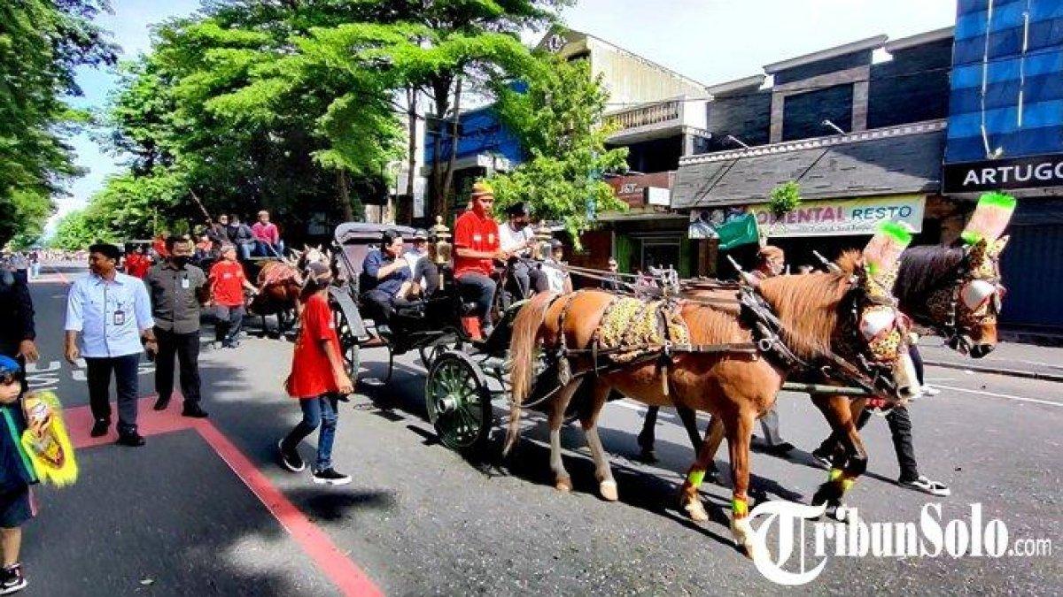 BAKAL Ditarik 6 Ekor Kuda Betina, Kereta Kencana Kaesang-Erina Pakai Kuda Pacu Campuran Australia