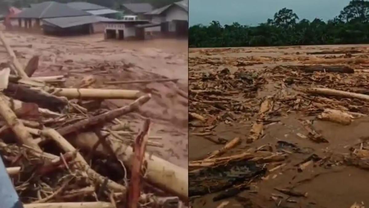 KAYU HANYUT - Potongan video yang diunggah warganet di media sosial TikTok menunjukkan aliran sungai dan banjir di Batang Toru, Tapanuli Tengah, Sumatra Utara dipenuhi kayu gelondongan. Wahana Lingkungan Hidup Indonesia (Walhi) Sumut menilai banjir dan longsor yang terjadi di Sumut dikarenakan kerusakan hutan.