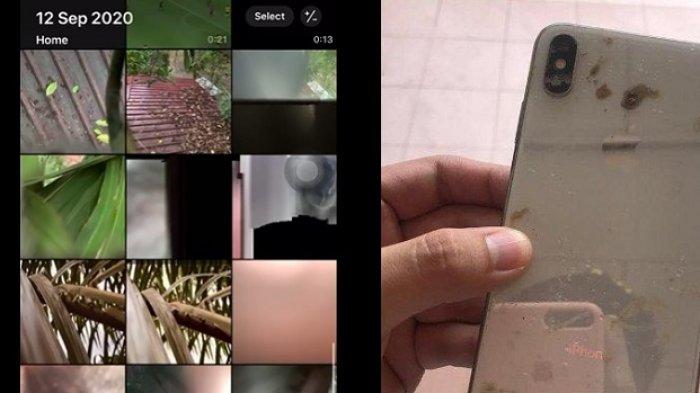 TEMUKAN Lagi Ponselnya yang Dicuri Monyet, Pria Ini Terkejut Buka Galery Temukan Foto Tak Biasa