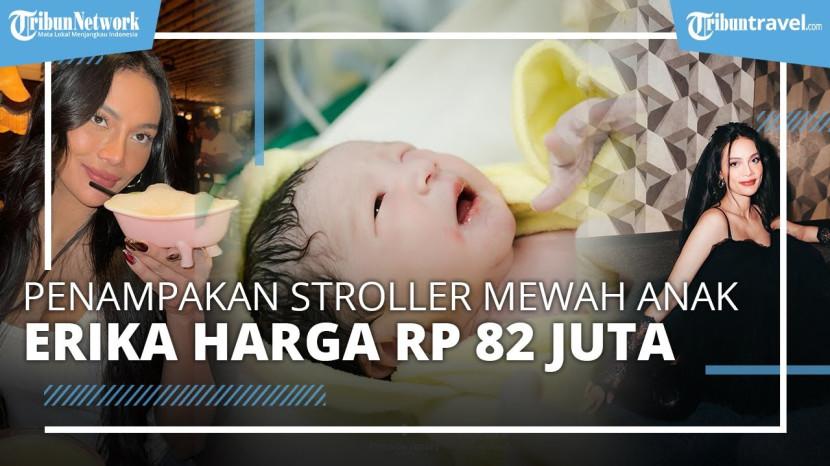 Tribun
