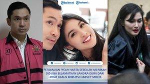 Alasan-Sandra-Dewi-membuat-perjanjian-pisah-harta-pranikah-dengan-Harvey-Moeis.jpg