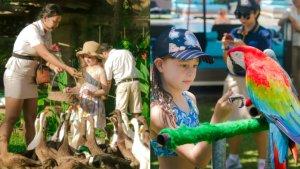 Bali-Bird-Park-berada-di-Batubulan-Gianyar.jpg
