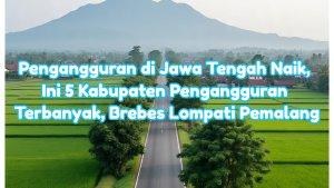 Foto-keindahan-persawahan-hijau-di-Jawa-Tengah-jpeg.jpg