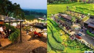 Kedai-Kopi-Ampirono-berlokasi-di-Kulon-Progo-Yogyakarta.jpg