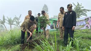 Ketua-DPRD-Klaten-Edy-Sasongko-lakukan-aksi-penanaman-bibit-pohon.jpg