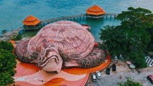 Kura-kura-Ocean-Park-terletak-di-kawasan-Pantai-Kartini-Jepara-Jawa-Tengah.jpg