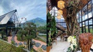 Luxview-Resto.jpg