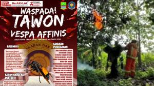 Petugas-Damkar-Kabupaten-Bekasi-eksekusi-sarang-tawon-tewaskan-bocah.jpg