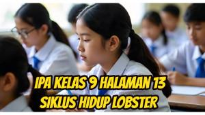 Siklus-hidup-lobster-bg5.jpg