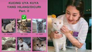 Upaya-musisi-dan-aktris-Sherina-Munaf-menyelamatkan-kucing-milik-Uya-Kuya.jpg